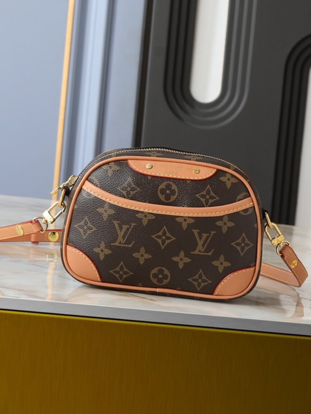 Louis Vuitton Tiny Camera Bag